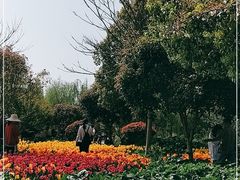 -金卉庄园