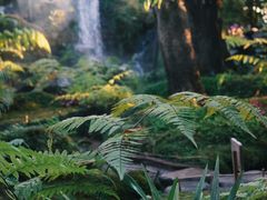 -Chom Cafe and Restaurant