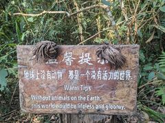 -普洱太阳河森林公园