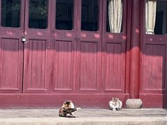-西园戒幢律寺