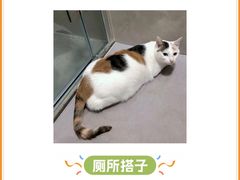 -半岛宠物医院24小时(科华中路店)