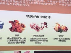 -大庆石油科技馆