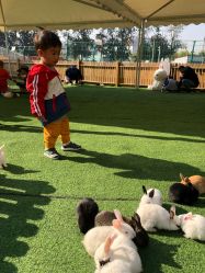 -萌宠亲子动物乐园(槐房万达店)