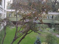 -上海老站(徐家汇店)