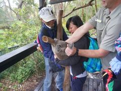 -费瑟代尔野生动物园