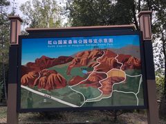 -红山国家森林公园