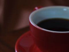 -参差咖啡(水果湖公园店)