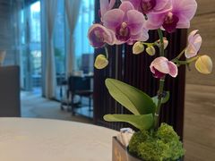-观海海鲜(蛇口广场店)