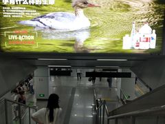 -近江(地铁站)