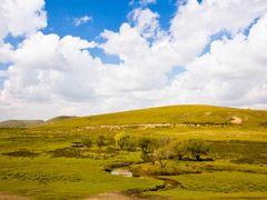 -塞罕坝国家级自然保护区