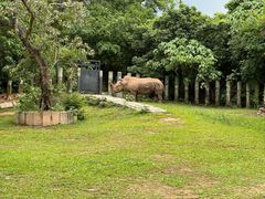 -深圳野生动物园