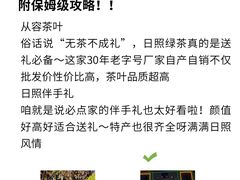 -日照海滨国家森林公园