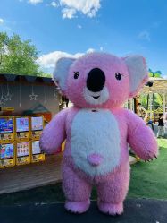 -爱伴·布鲁豪斯游乐场