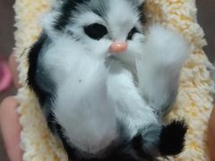 -纪念日百货(江西南昌店)