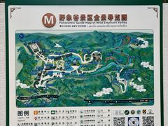 -野象谷景区