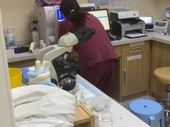 -德元·美联众合24小时动物医院(总院)