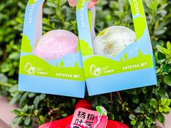 -ARTEASG啊T·新加坡奶茶(时尚天河店)