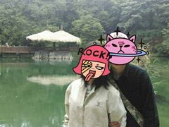 -阿里山神木遗迹