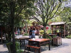 -青城甲(青城山店)