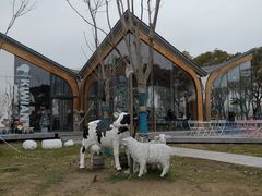 -南汇嘴观海公园