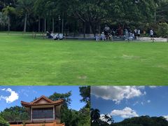 -深圳仙湖植物园