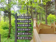 -鲁山国家森林公园