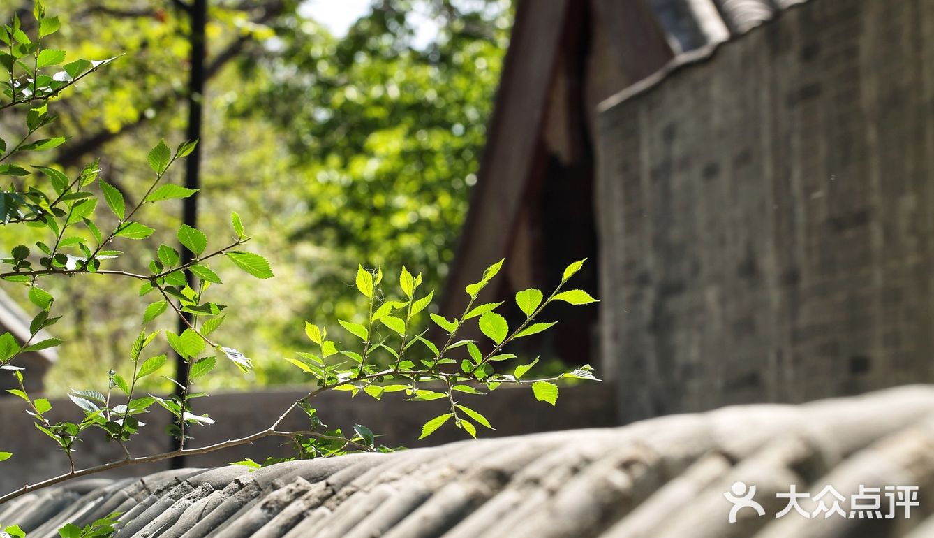 春色正好,游客不少。疫情前只有附近居民饭后来遛达