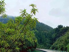 -狮子关旅游区