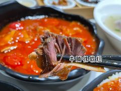 -新仙清汤牛腩(铜锣湾店)