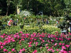 -人民公园(罗湖区)