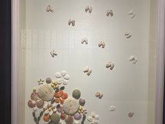 -青岛贝壳博物馆