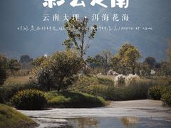 -大理洱海