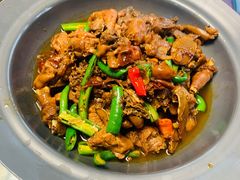 -巩本明鱼屋子