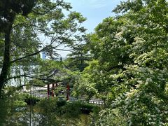 -济南大明湖景区