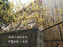 -秀丽东方