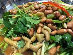 -石岐乳鸽村(南海第三分店)