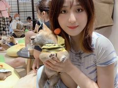 -逗柴咖啡屋·狗咖猫咖宠物桌游