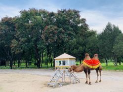 -THE QUEEN(北京店)