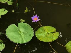 -北山街历史文化街区