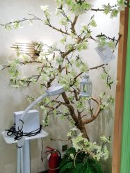 -芳朵美容养生SPA