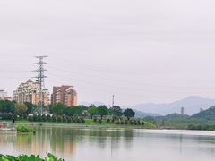 -风云岭森林公园