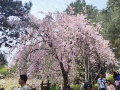 -西安青龙寺遗址景区
