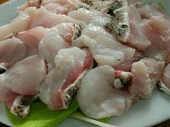 -金砂阿洲鱼册店