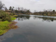 -桤木河湿地公园