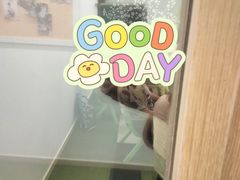 -七田真早期教育(荟聚中心)