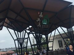 -上海长兴岛郊野公园