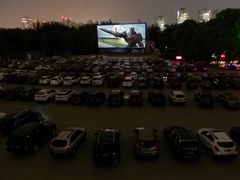 -枫花园汽车电影院(朝阳公园店)