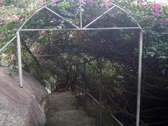 -鸿山公园
