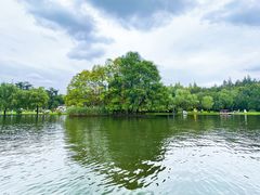 -上海共青森林公园