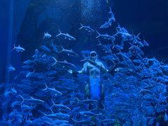 -波塞冬旅游度假区